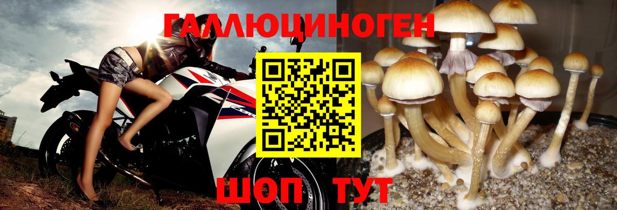 Галлюциногенные грибы MAGIC MUSHROOMS Шарыпово