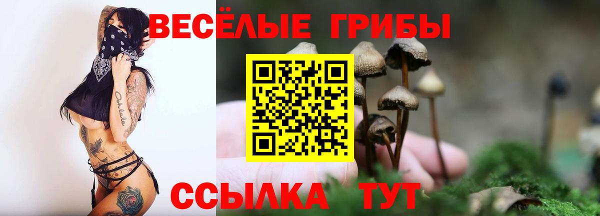 Шарыпово  Галлюциногенные грибы GOLDEN TEACHER  Галлюциногенные грибы MAGIC MUSHROOMS  Вход с VPN 